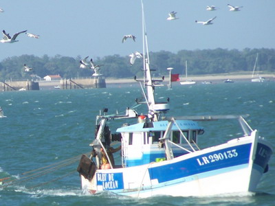location oleron bateau peche