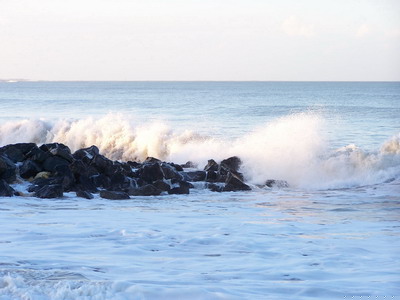 location ile d'oleron plage foulerot